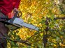 Transform Your Fall Cleanup: Expert Power Tool Tips You Need to Know