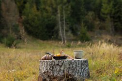 How to Choose the Best Lightweight Cooking Gear for Your Backpacking Trip